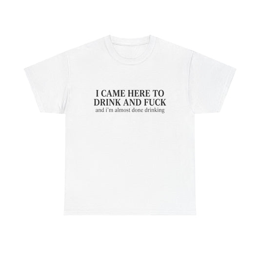 I Came Here to Drink and Fuck | Funny Bar Humor T-Shirt