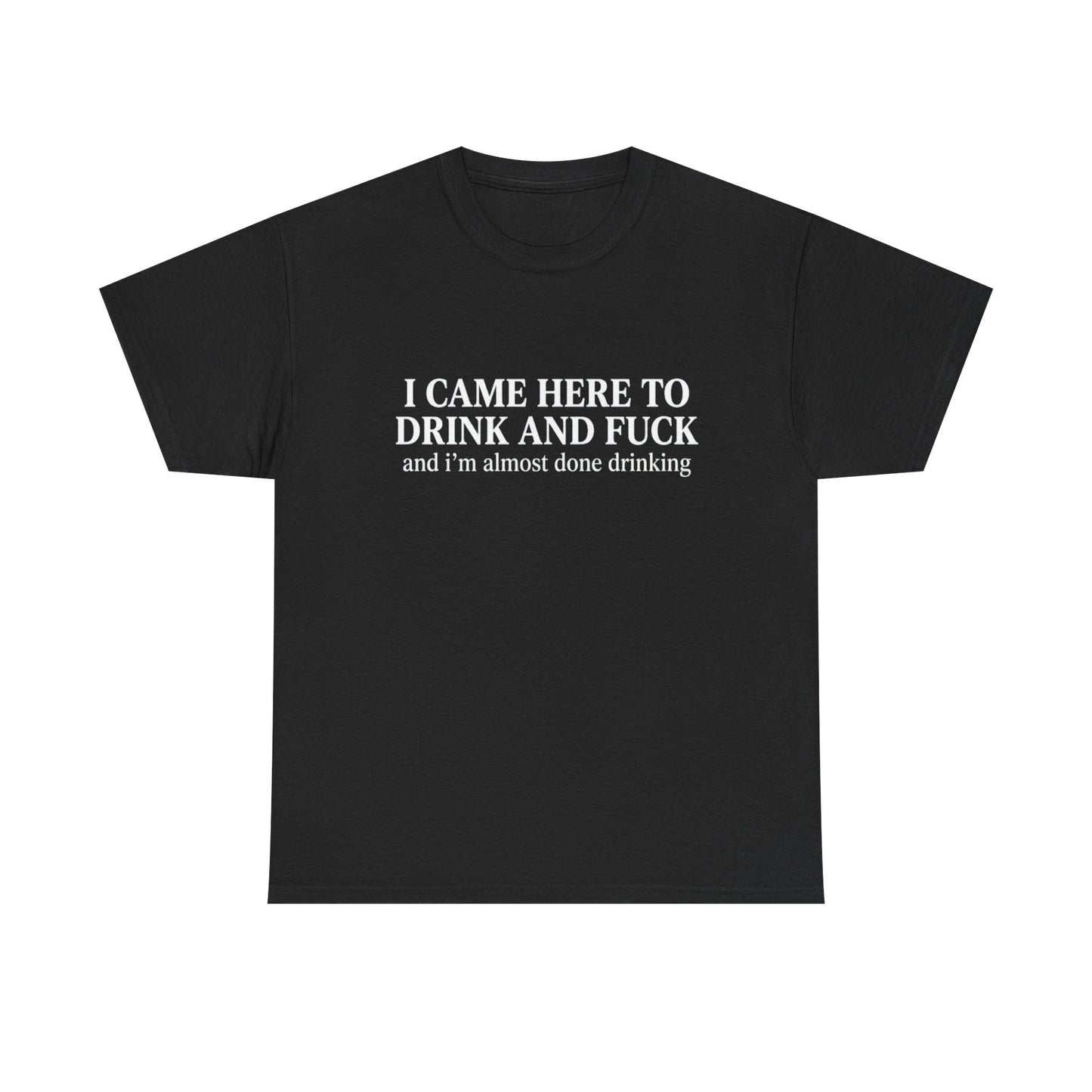 I Came Here to Drink and Fuck | Funny Bar Humor T-Shirt