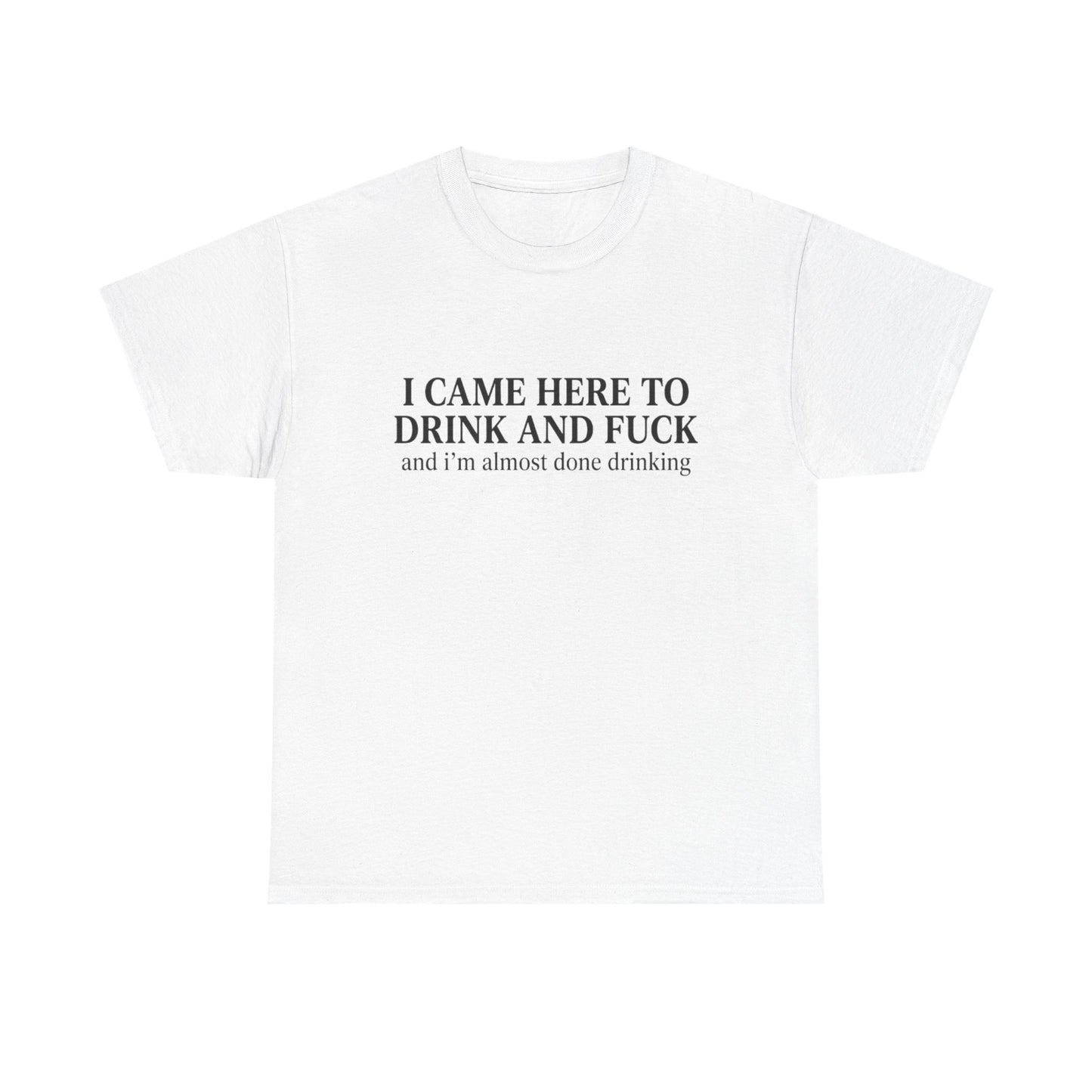 I Came Here to Drink and Fuck | Funny Bar Humor T-Shirt