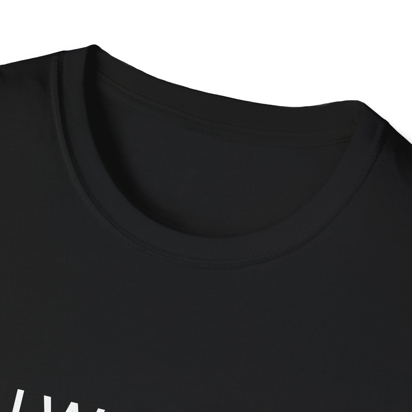 No I Won't Go Home With You - Ask again after 2 drinks | T-Shirt